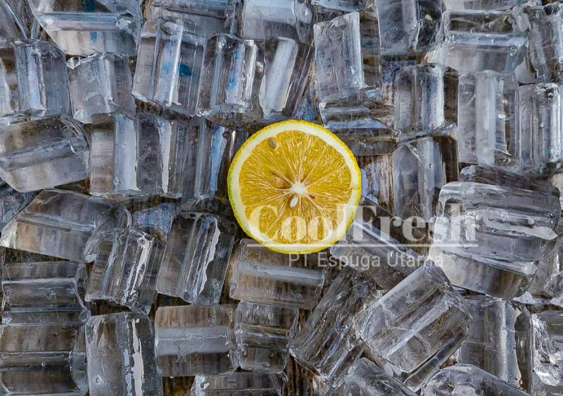 WhatsApp Image 2023-02-23 at 13.00.19 (1)