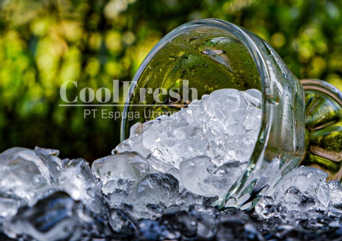 WhatsApp Image 2023-02-23 at 13.00.19