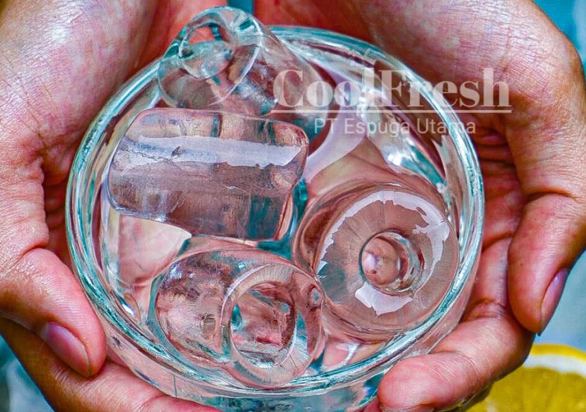 WhatsApp Image 2023-02-23 at 13.00.20